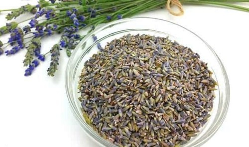 dried-lavender-blossoms1.jpg
